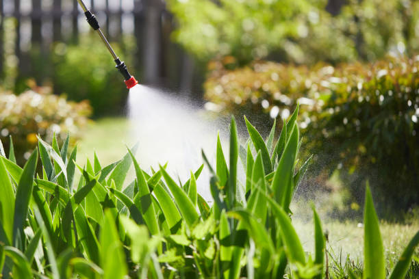 24/7 Emergency Termite Control experts in Sanford, FL