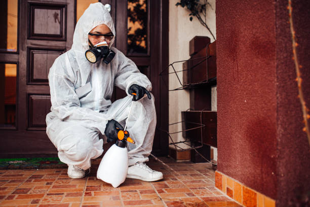 Reliable Termite Control contractor in Sanford, FL by Nex Pest Control
